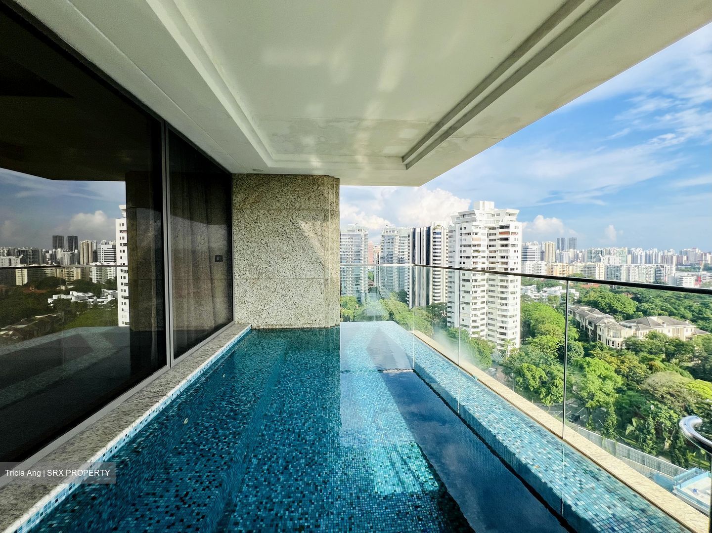 Parkview Eclat (D10), Condominium #492331661